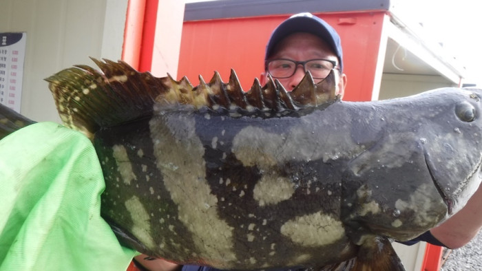 388fbf92969fc5953c1993e1b1445505_1758355