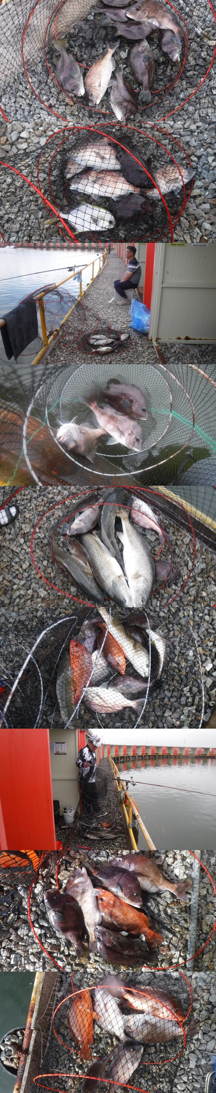 388fbf92969fc5953c1993e1b1445505_1758355