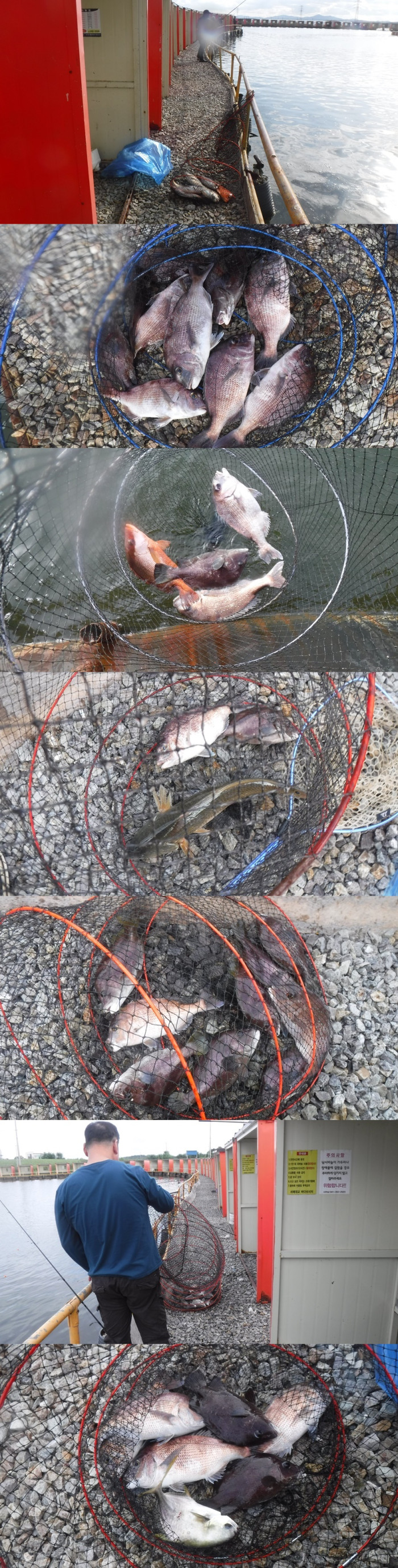 388fbf92969fc5953c1993e1b1445505_1758355