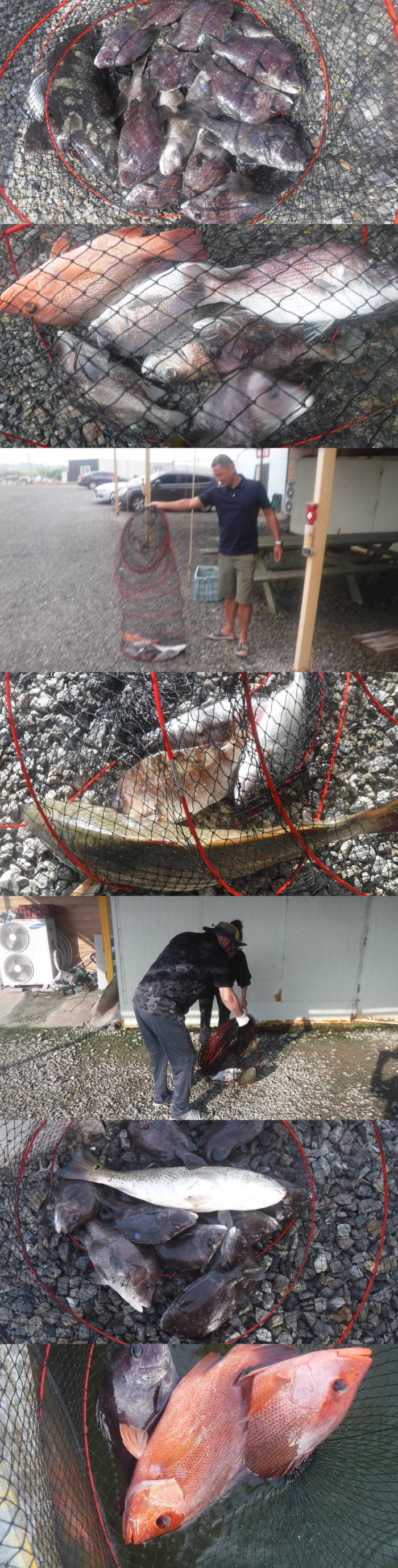 3a6385b6c35c248272d993046a1c59a1_1758186