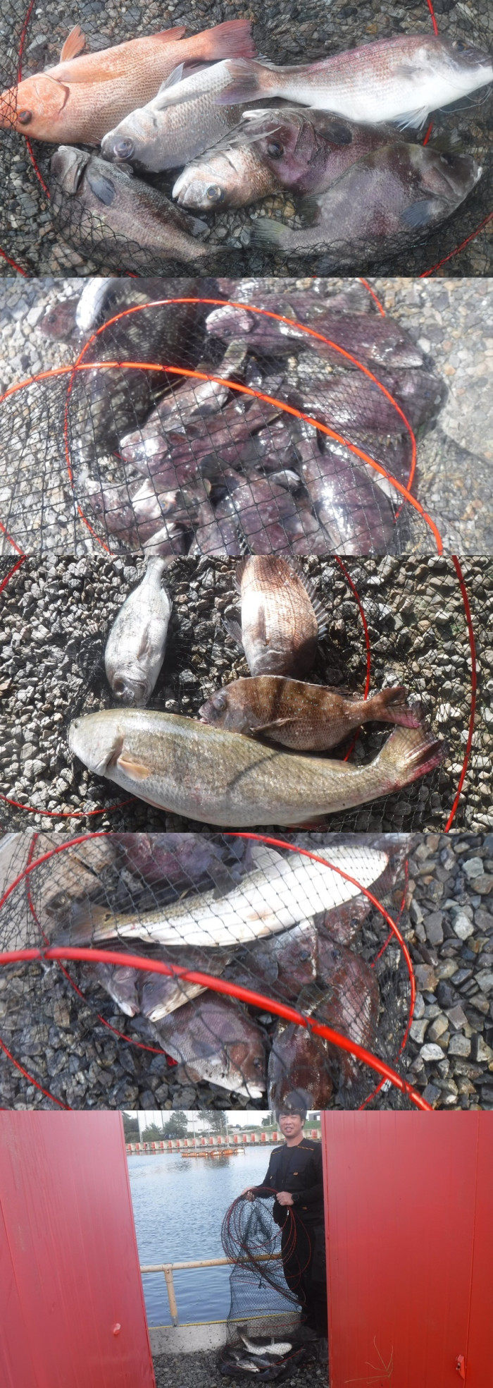 3a6385b6c35c248272d993046a1c59a1_1758186