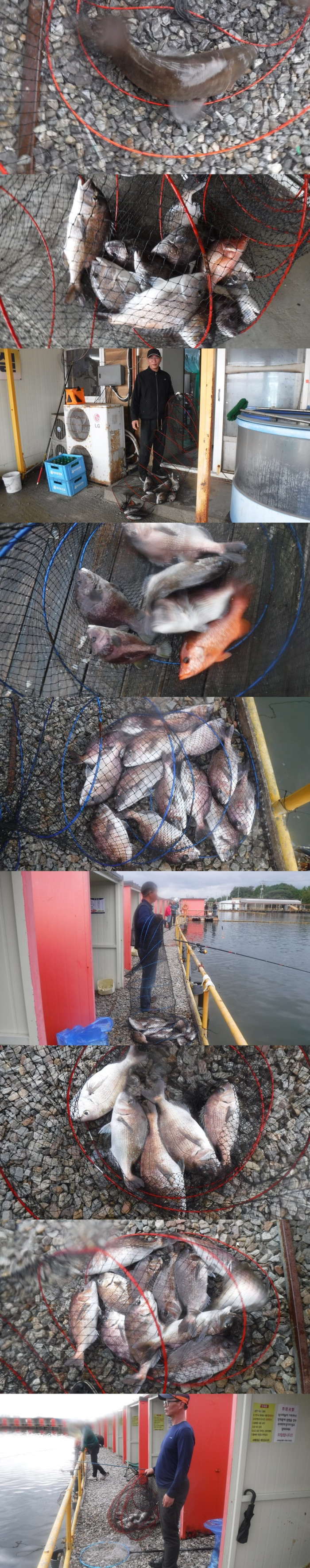 b6c510137d31da0bb486274b4898fa6a_1759047