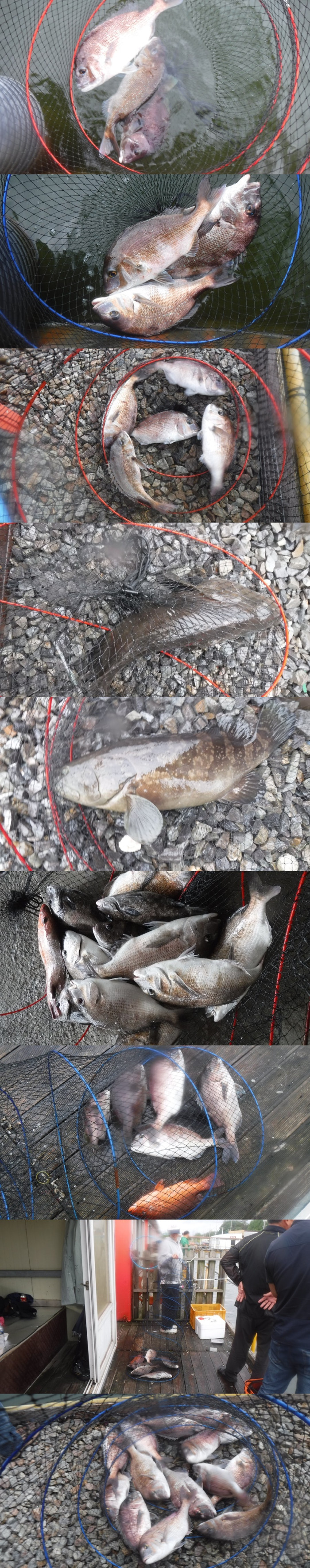 b6c510137d31da0bb486274b4898fa6a_1759047