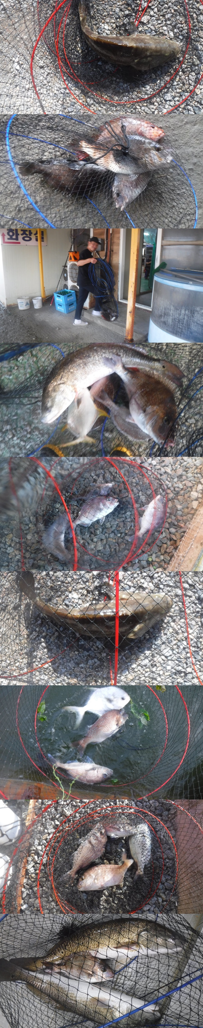 b6c510137d31da0bb486274b4898fa6a_1759142