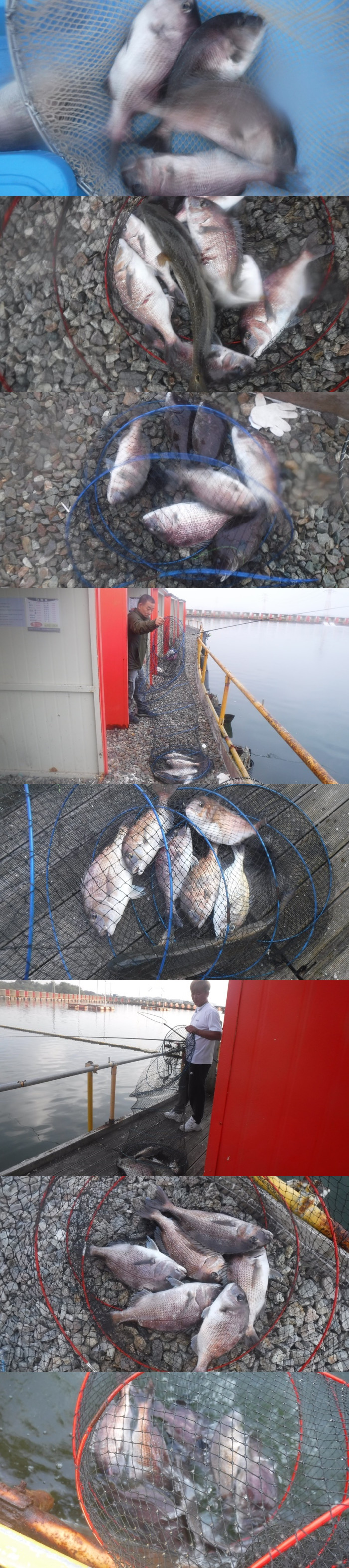 b6c510137d31da0bb486274b4898fa6a_1759220