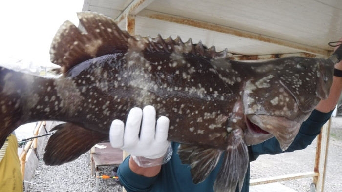 0d76c00ca3ec7aba58602956c9235093_1760517