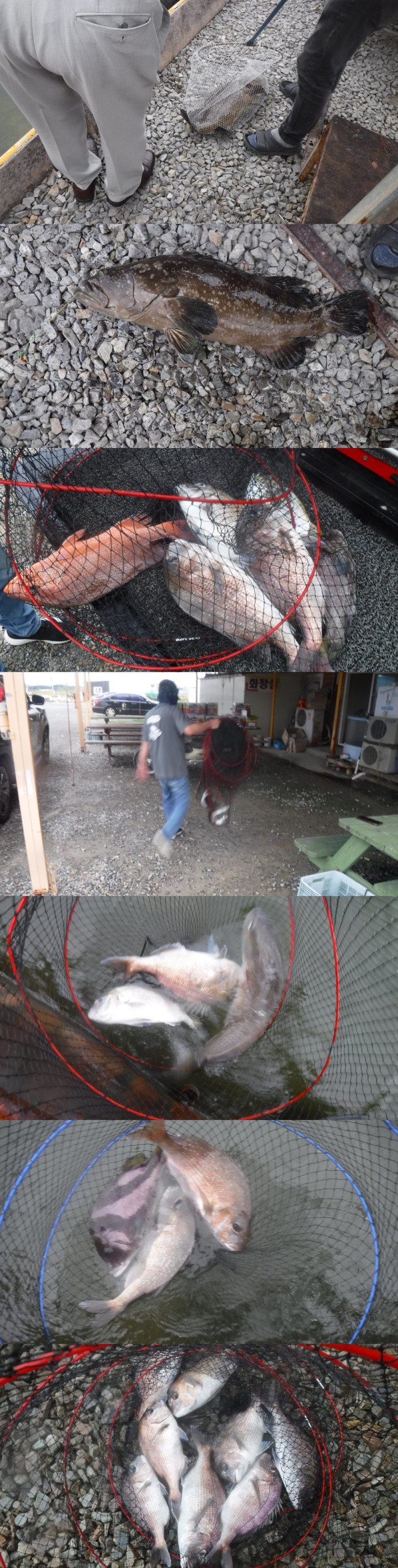 0d76c00ca3ec7aba58602956c9235093_1760517