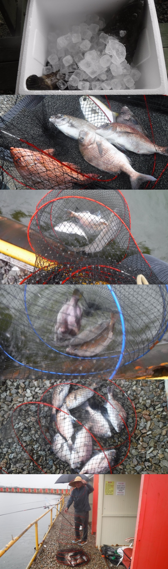 0d76c00ca3ec7aba58602956c9235093_1760517