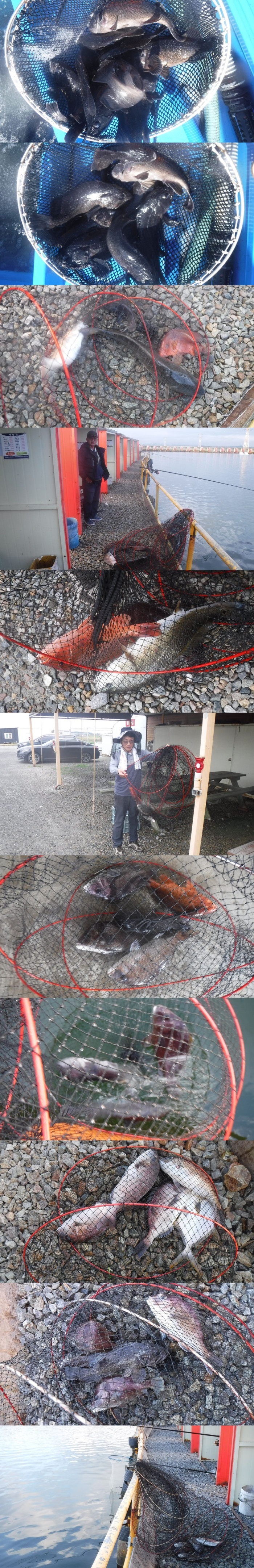 0d76c00ca3ec7aba58602956c9235093_1760610