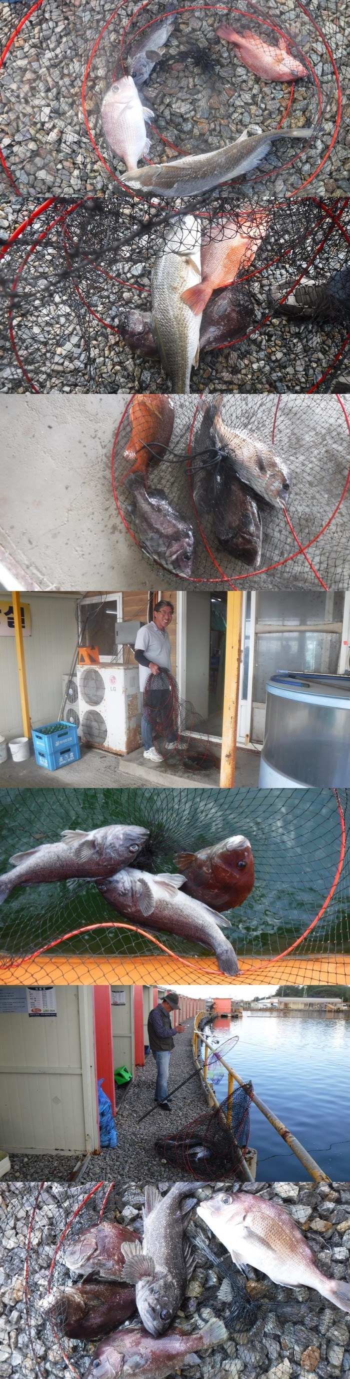 0d76c00ca3ec7aba58602956c9235093_1760610