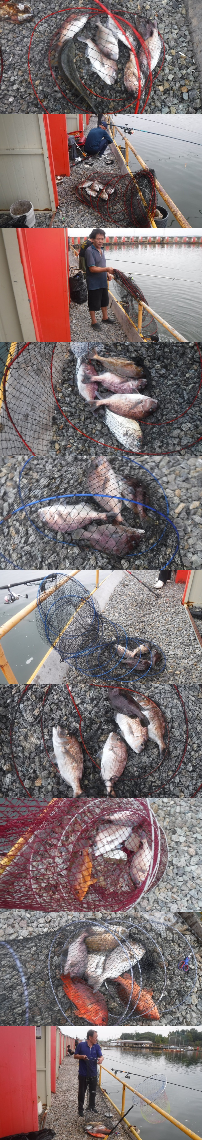 125718aa4ee6b184daaab457fe381eec_1759571