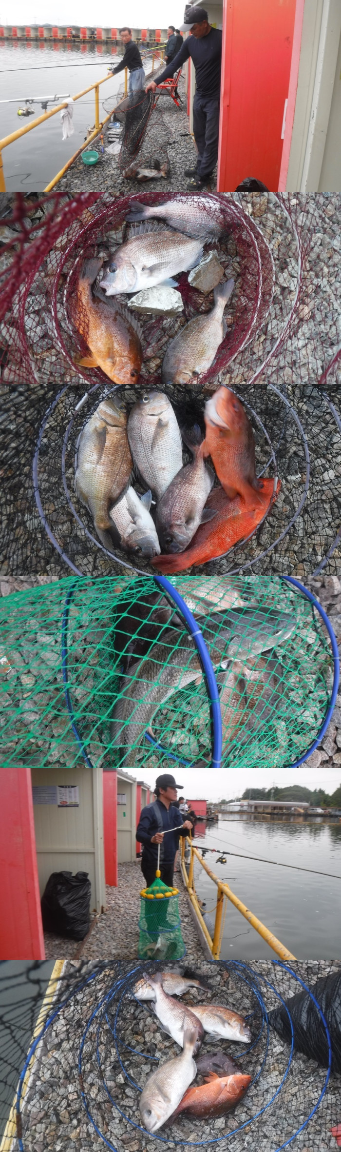 125718aa4ee6b184daaab457fe381eec_1759571