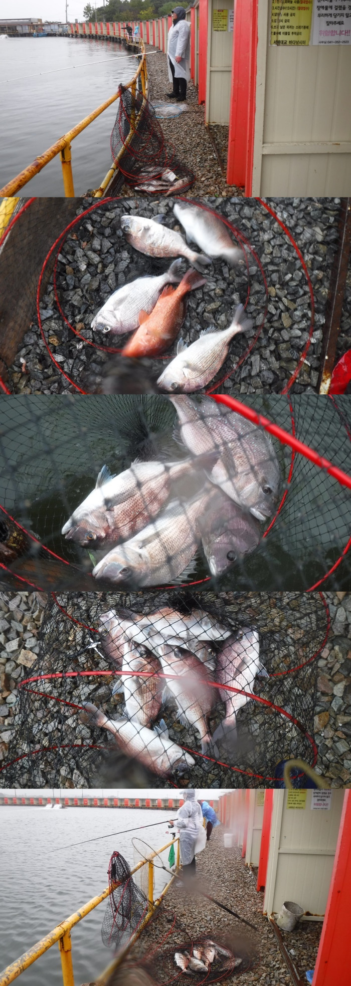 125718aa4ee6b184daaab457fe381eec_1759740