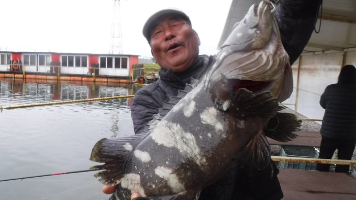 125718aa4ee6b184daaab457fe381eec_1759828