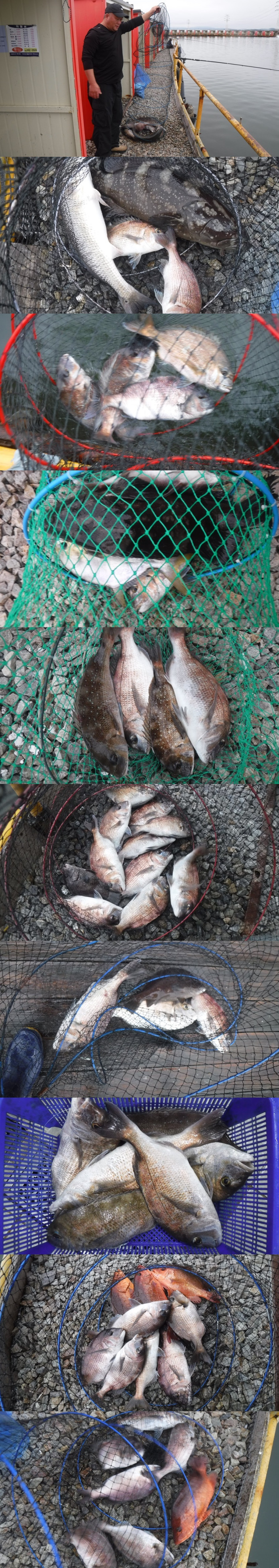 125718aa4ee6b184daaab457fe381eec_1759828