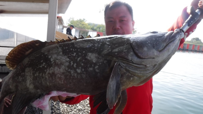 286d68a5ff2453e84a12677caf247380_1760917