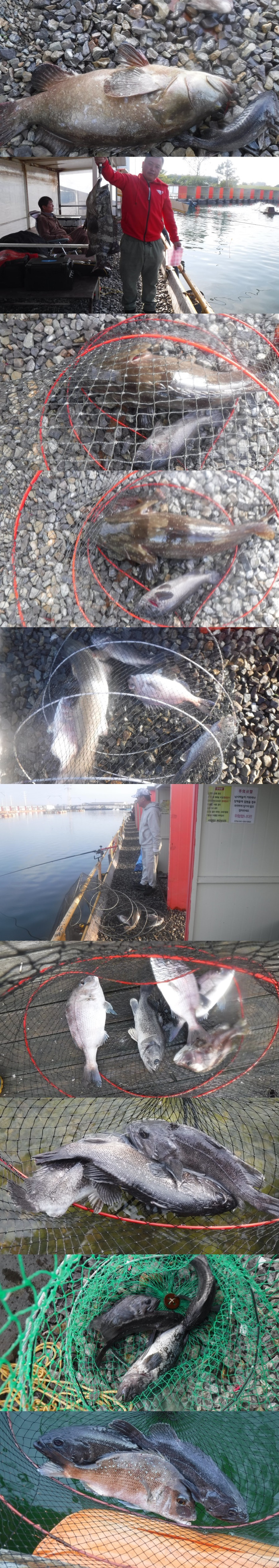 286d68a5ff2453e84a12677caf247380_1760917