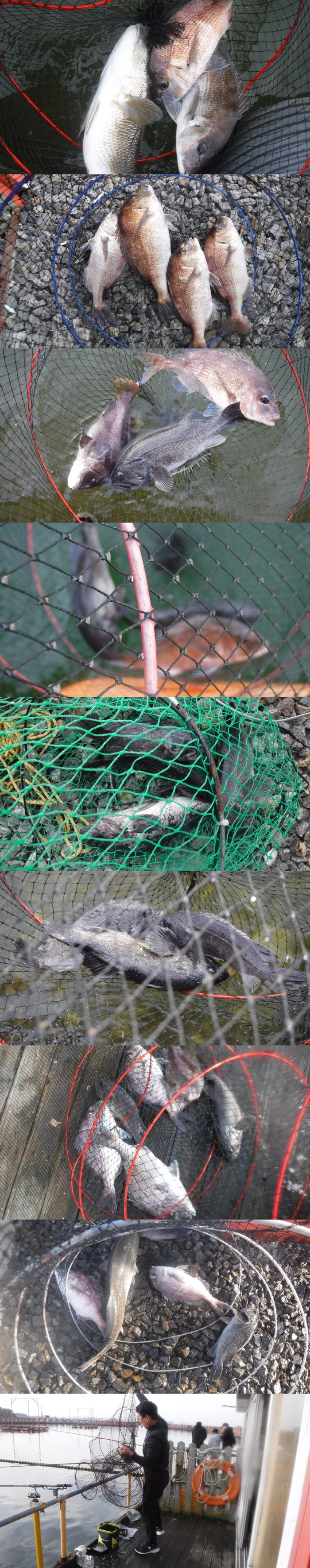 286d68a5ff2453e84a12677caf247380_1760917