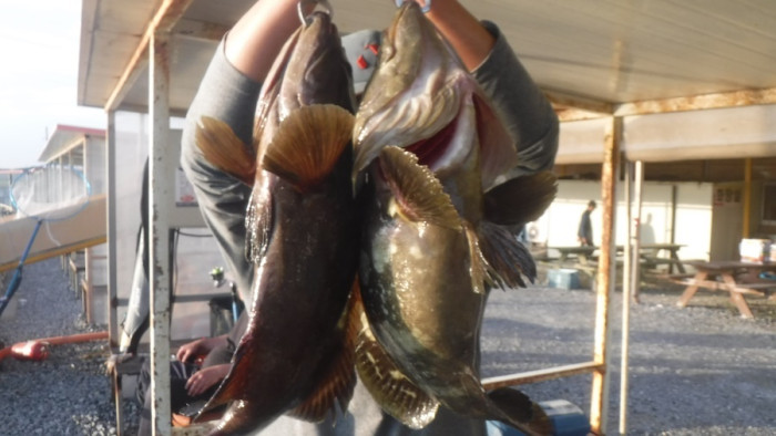 29166503b8d791ed30f7c9571ead5828_1761293