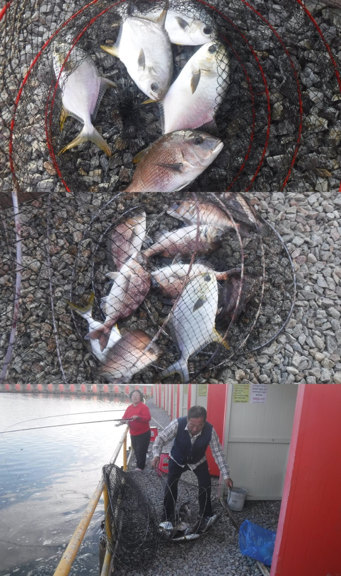 29166503b8d791ed30f7c9571ead5828_1761293