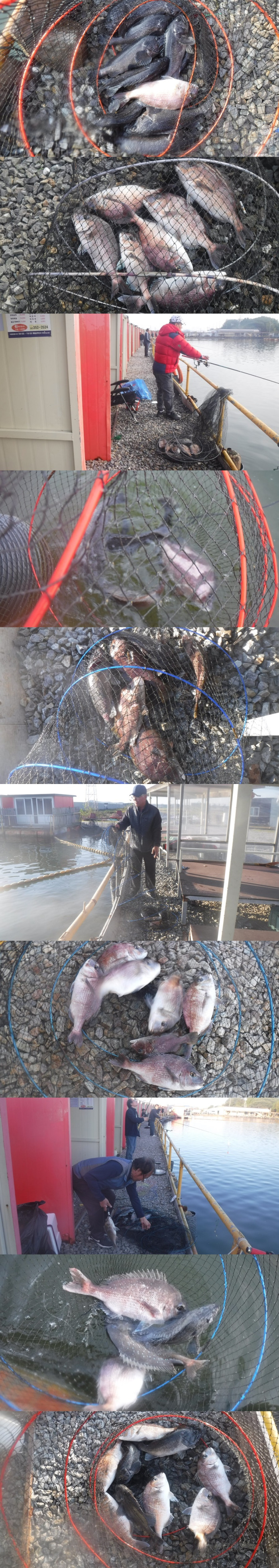 29166503b8d791ed30f7c9571ead5828_1761386