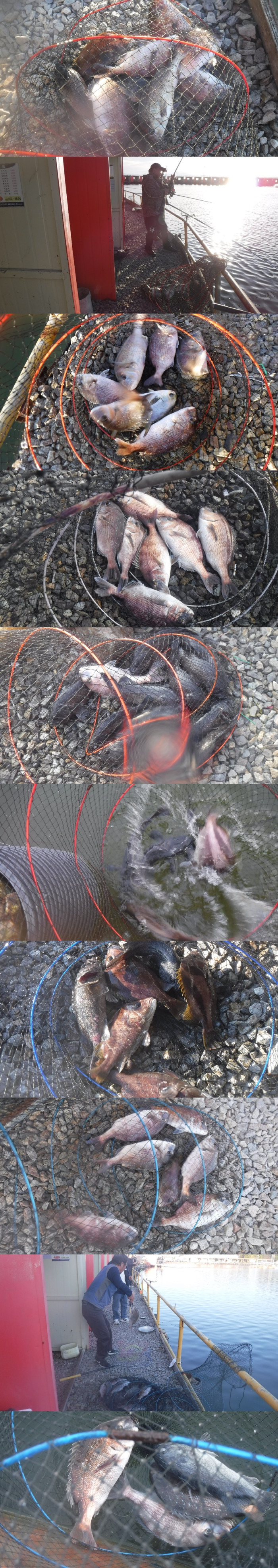 29166503b8d791ed30f7c9571ead5828_1761386