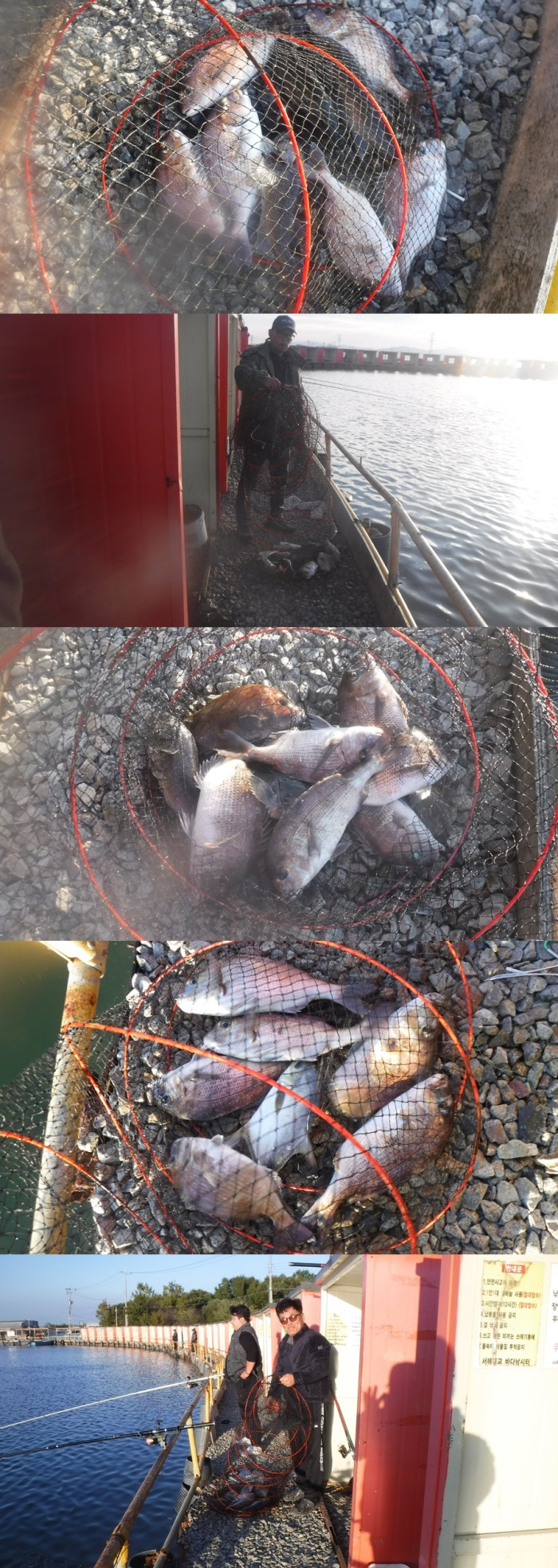 29166503b8d791ed30f7c9571ead5828_1761386