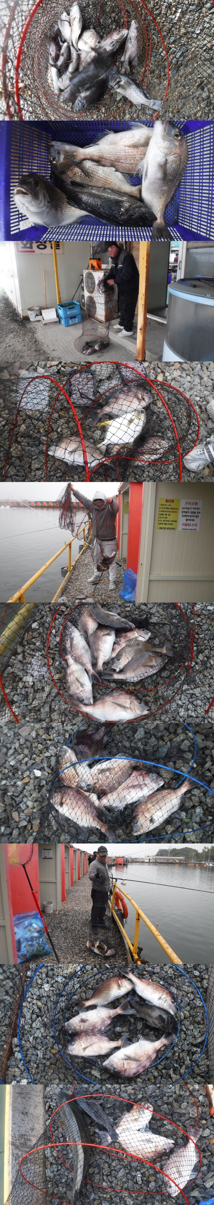 29166503b8d791ed30f7c9571ead5828_1761466