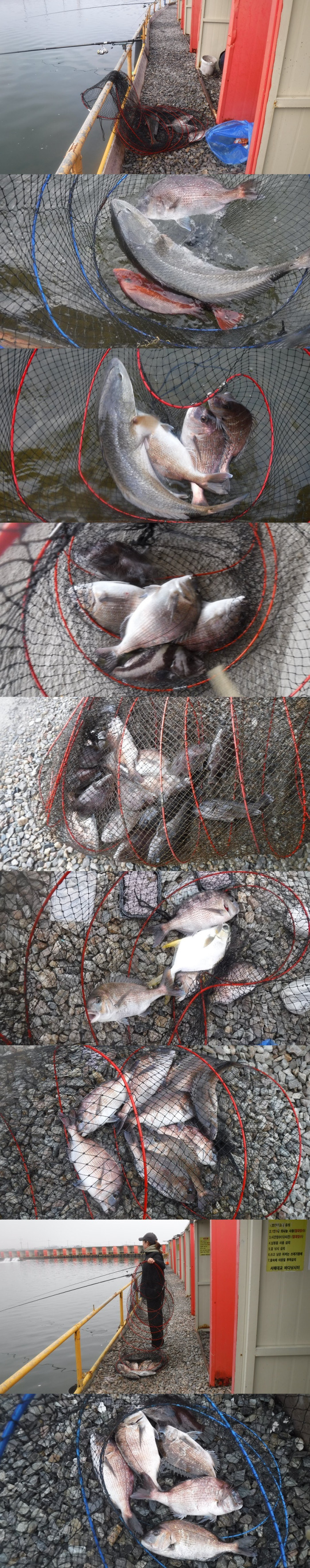 29166503b8d791ed30f7c9571ead5828_1761466