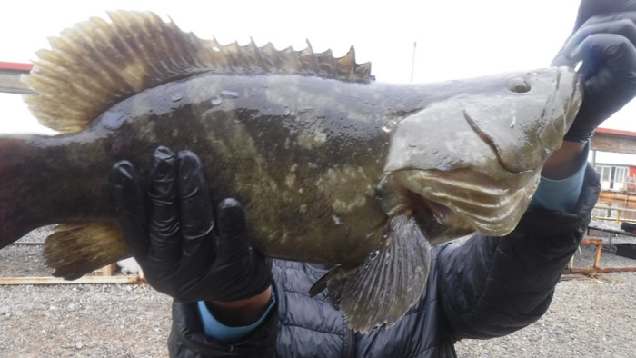 45100a4392ed292a6c75bb165dddfef8_1760260