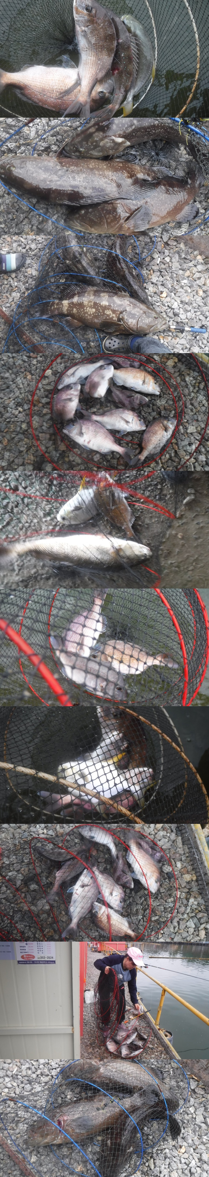 45100a4392ed292a6c75bb165dddfef8_1760260