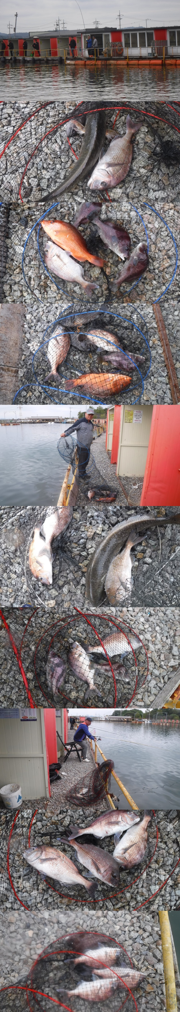 6d69bf995f07dfb8878dba7a88132d64_1760775