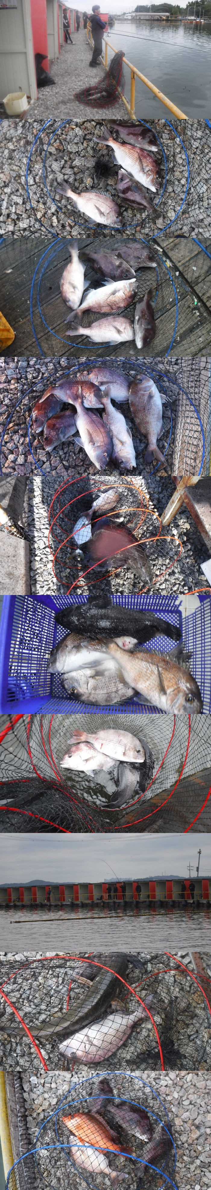 6d69bf995f07dfb8878dba7a88132d64_1760775