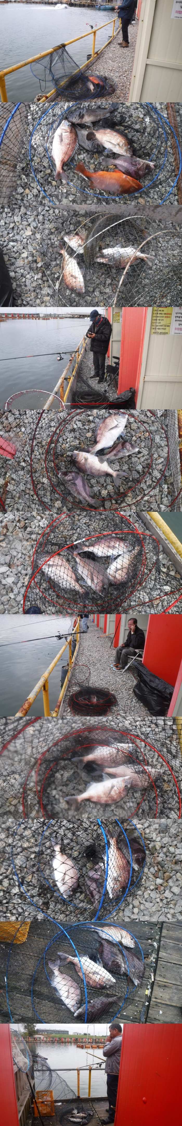 6d69bf995f07dfb8878dba7a88132d64_1760775