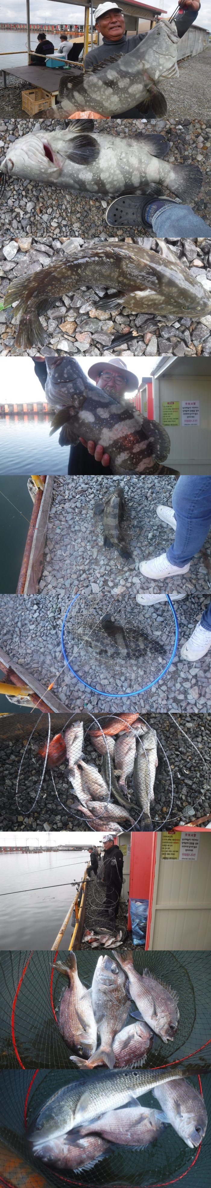 702672a9ec2415a800b8034225ce78cf_1759913