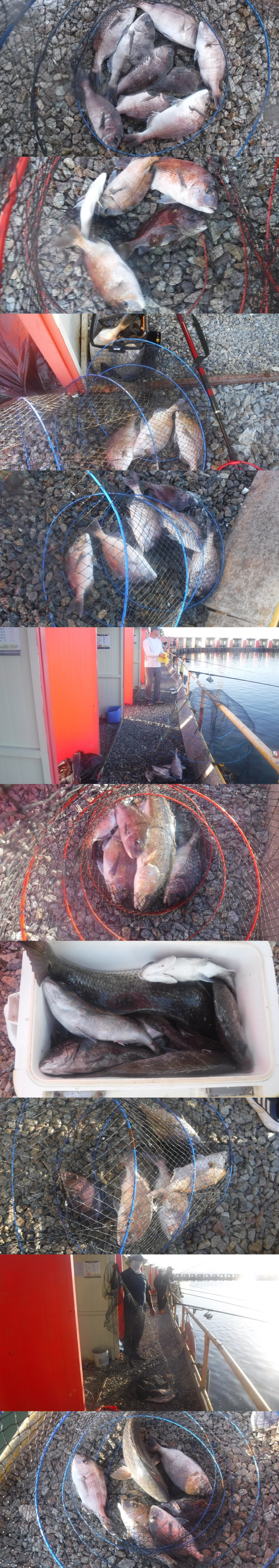 702672a9ec2415a800b8034225ce78cf_1759913