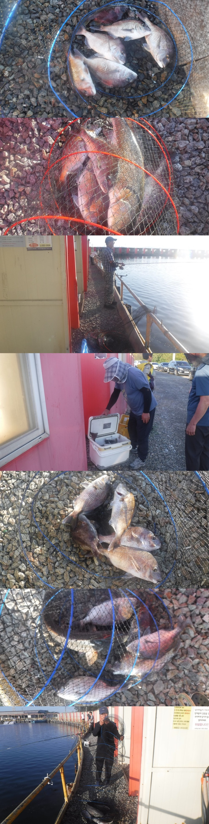 702672a9ec2415a800b8034225ce78cf_1759913