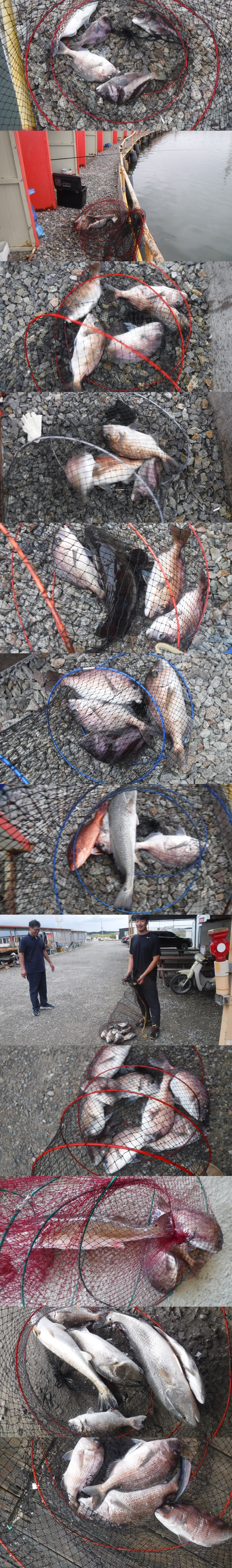 702672a9ec2415a800b8034225ce78cf_1759997