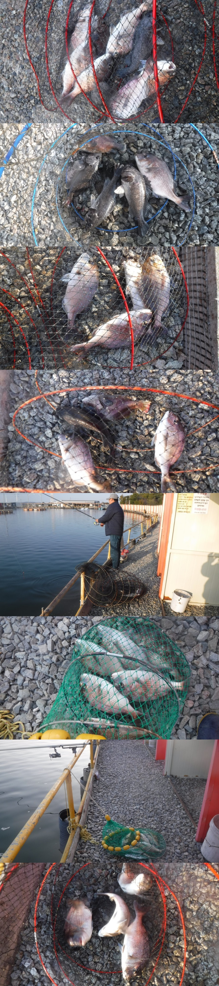 923a5da7d33c4e8cf42a768c53f345e2_1761643