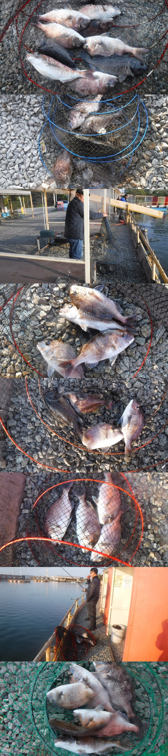 923a5da7d33c4e8cf42a768c53f345e2_1761643