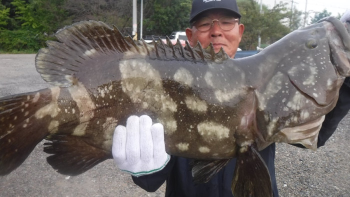 d6133096026666366d61bde1cd435411_1759479