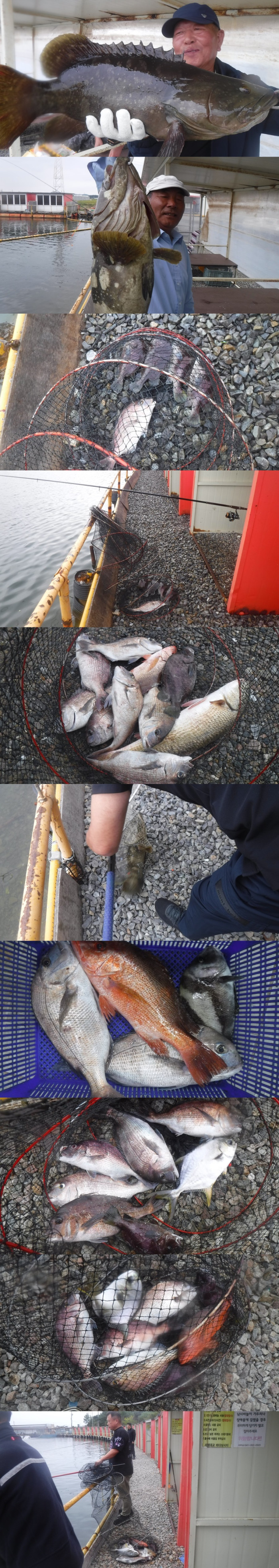 d6133096026666366d61bde1cd435411_1759479