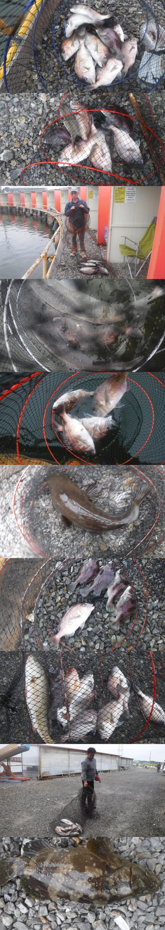 d6133096026666366d61bde1cd435411_1759479