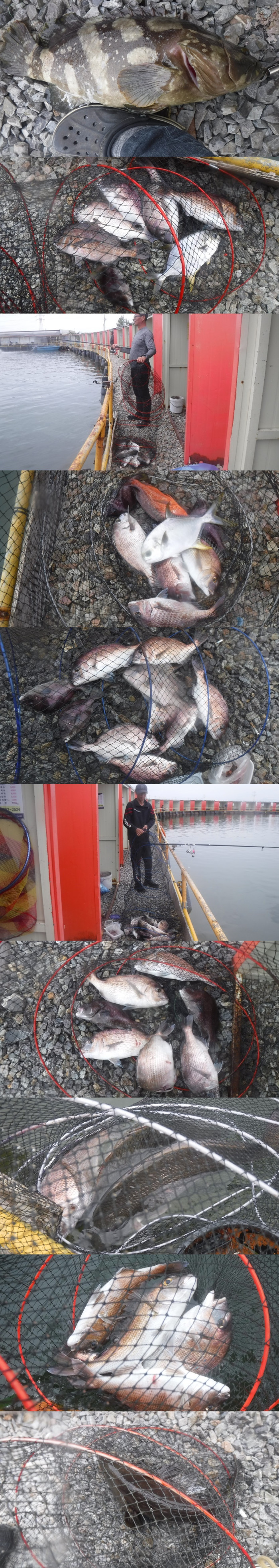 d6133096026666366d61bde1cd435411_1759479