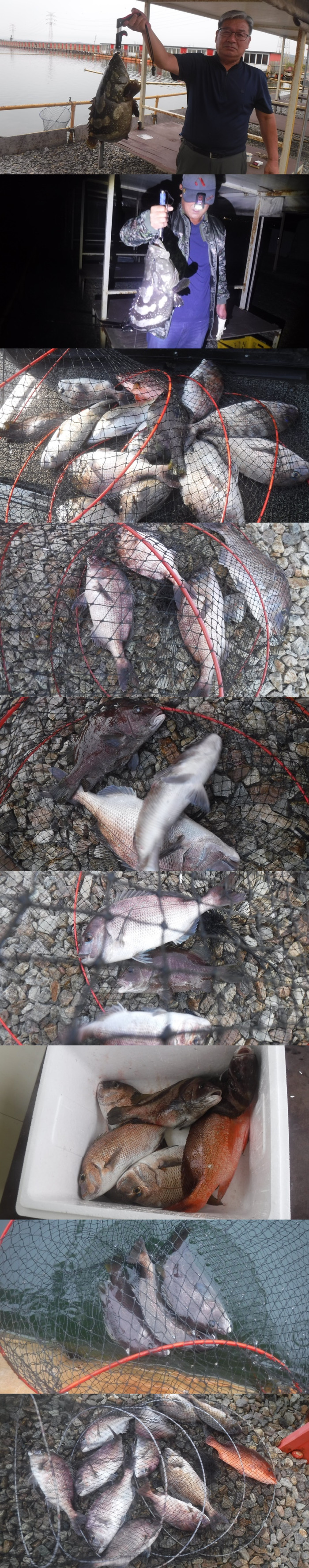 e2dbcd97fe8a039da72ed1e7d2e087b1_1759400