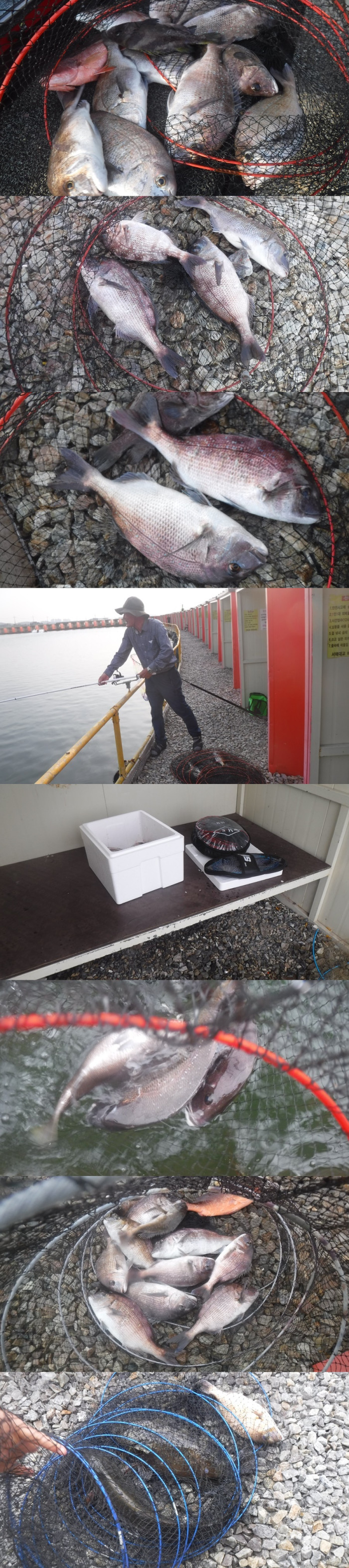 e2dbcd97fe8a039da72ed1e7d2e087b1_1759400