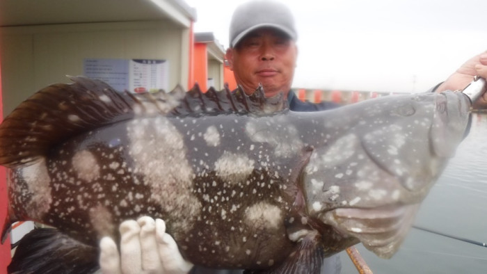 fbc738da9c9e2ecfb2ce7b734ef21e8d_1760088