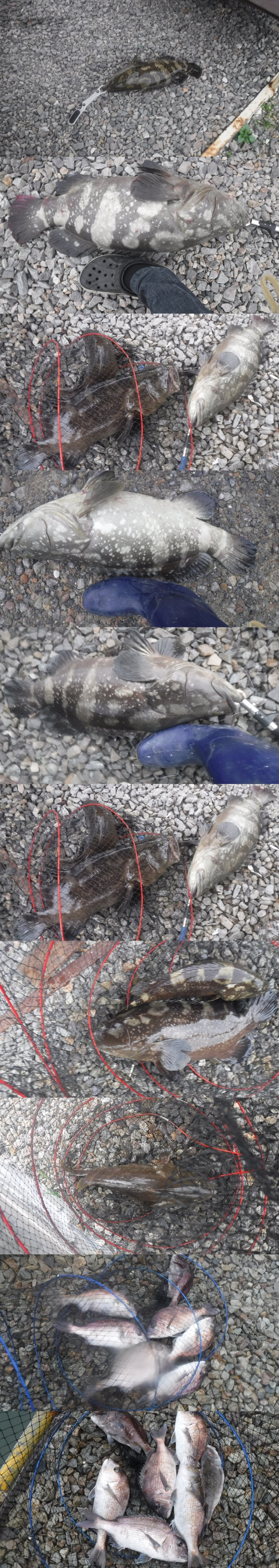 fbc738da9c9e2ecfb2ce7b734ef21e8d_1760088