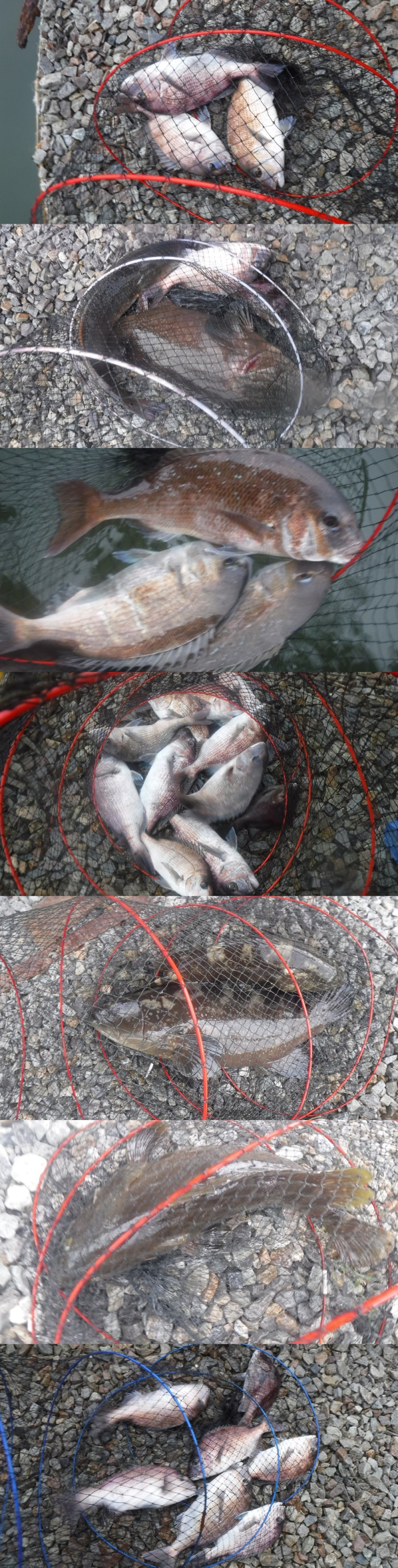 fbc738da9c9e2ecfb2ce7b734ef21e8d_1760088