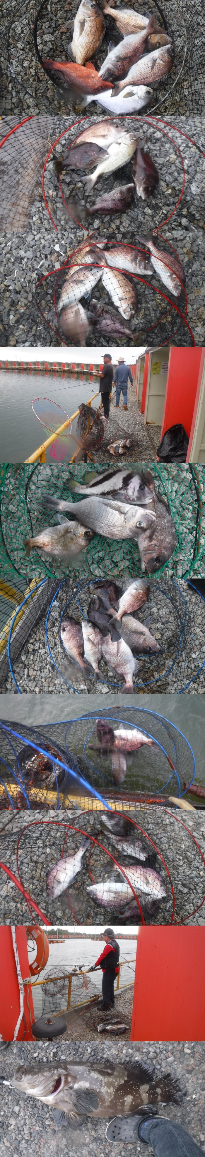 fbc738da9c9e2ecfb2ce7b734ef21e8d_1760178